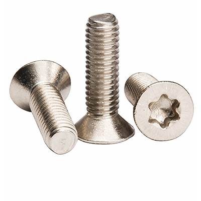 Torz Head Screw